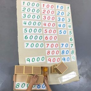 Matematik Montessori: Sistem Desimal (Decimal System)